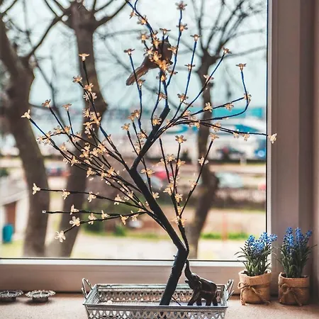 아파트 Luxury With Sea View 풀라