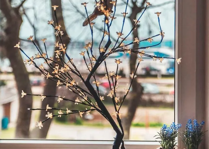 아파트 Luxury With Sea View 풀라